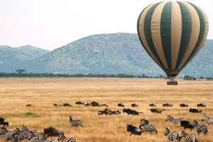 Hot Air Balloon Safari at Maasai Mara in Kenya