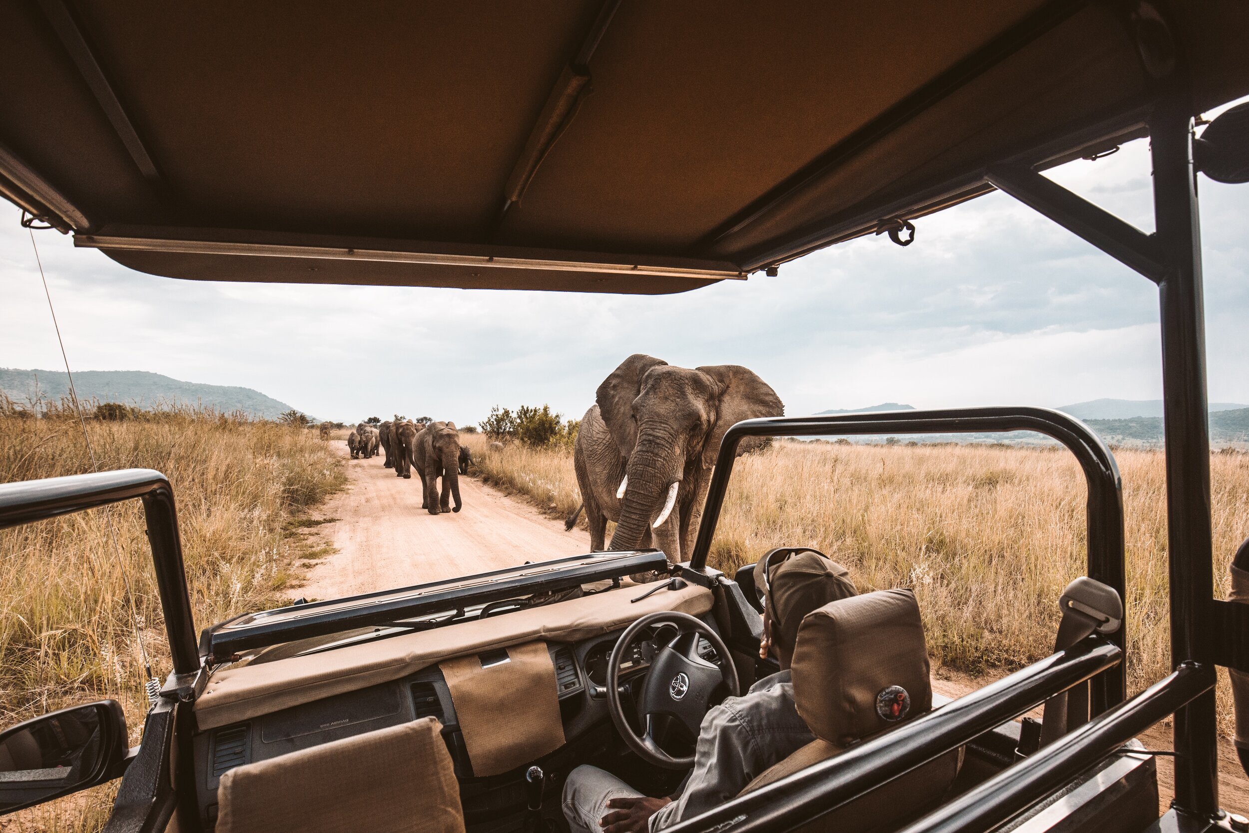 Game Viewing in Kenya