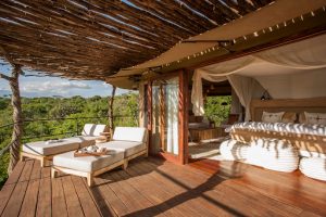 Mwiba Safari Lodge