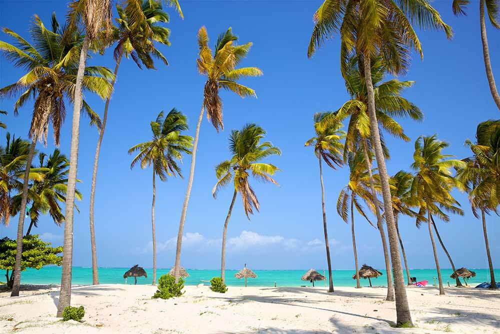 Zanzibar Beach Experience