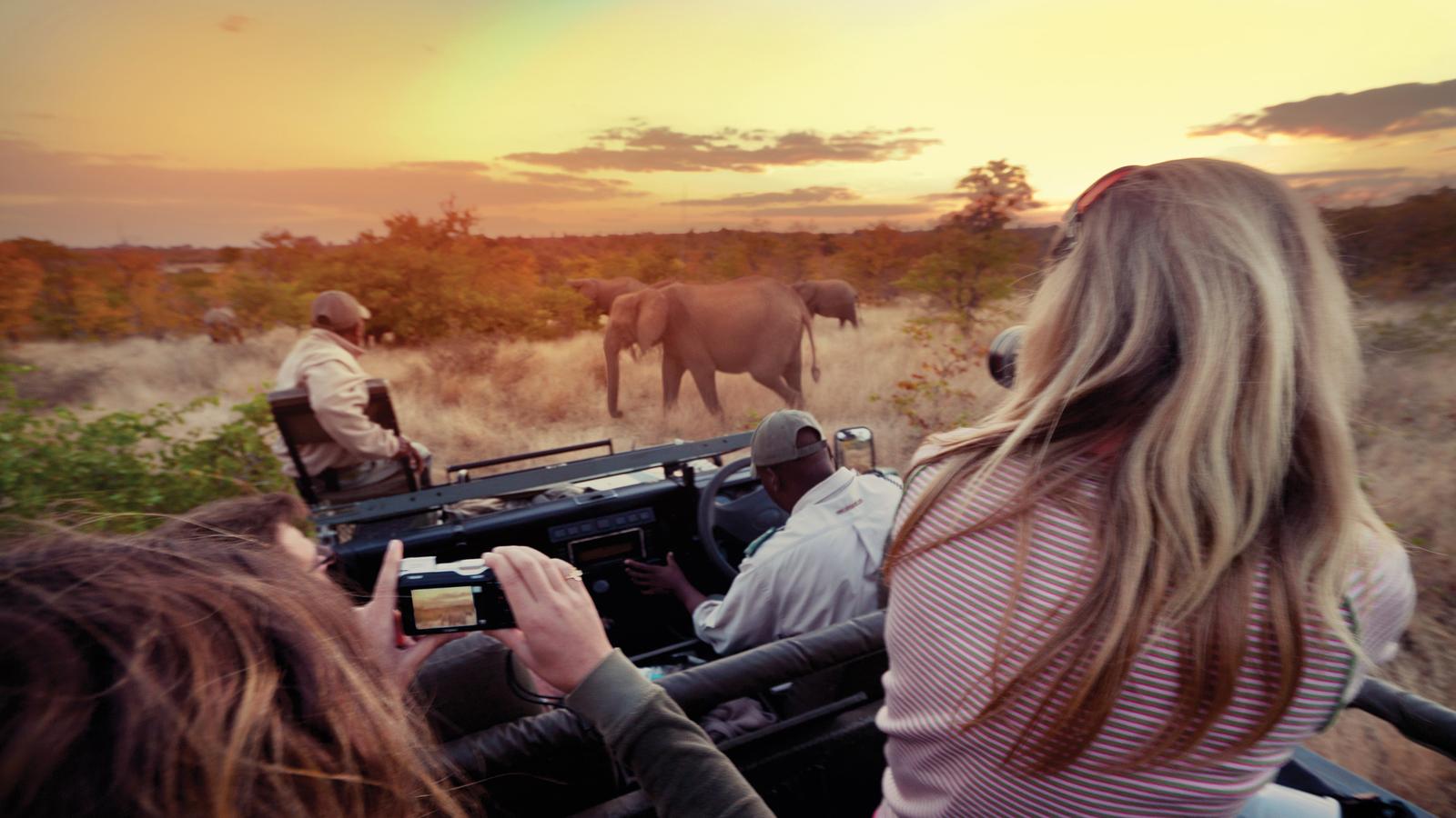 Kruger national park wildlife