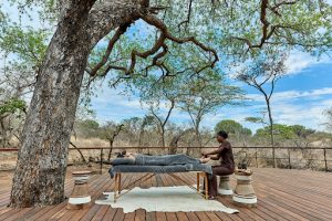 mwiba safari lodge Amenities and Facilities 