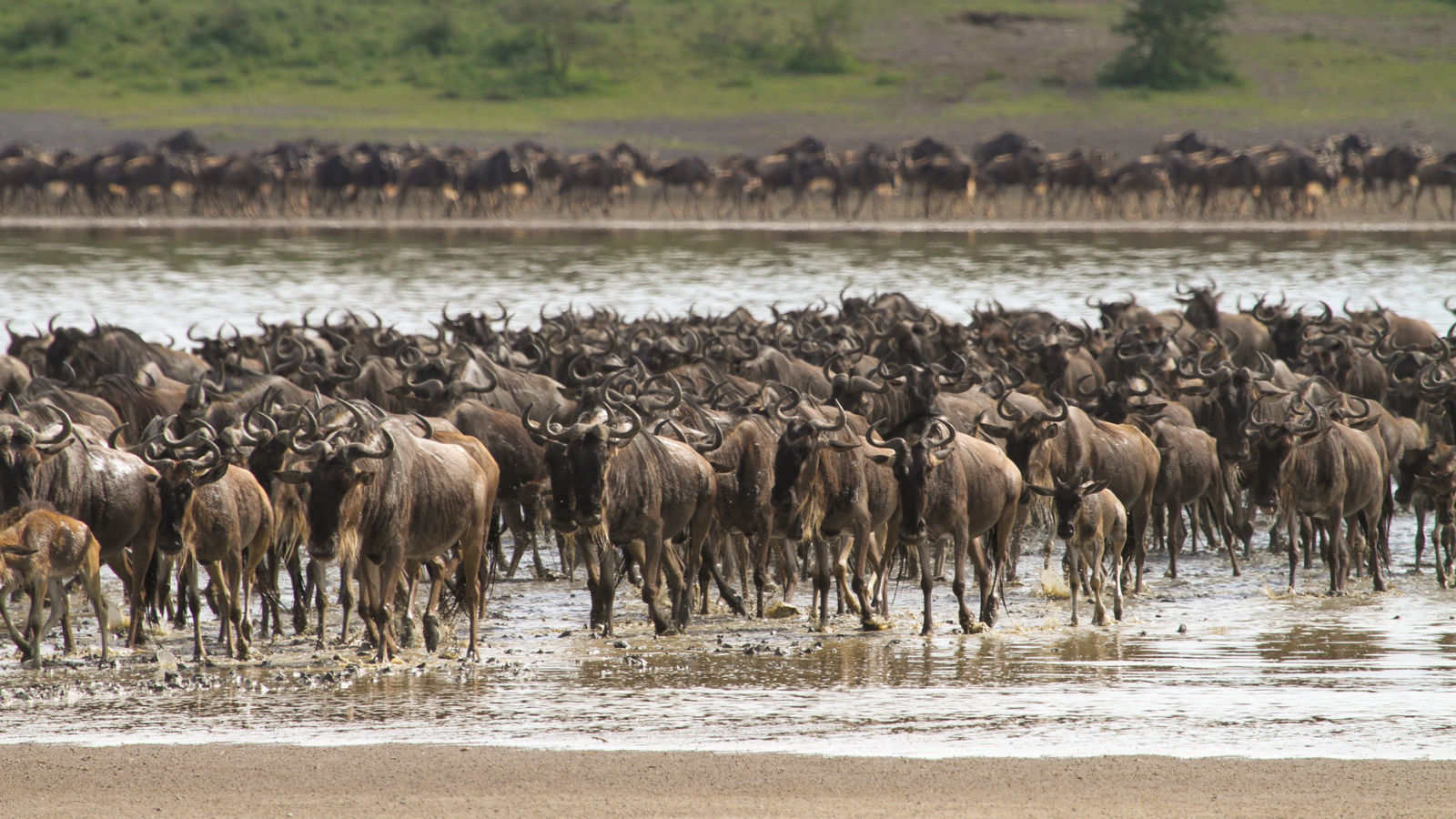 Lake Ndutu