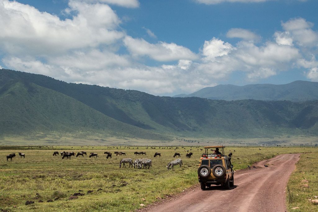 10 days Serengeti Wildebeest Migration Safari (Ngorongoro and Tarangire)