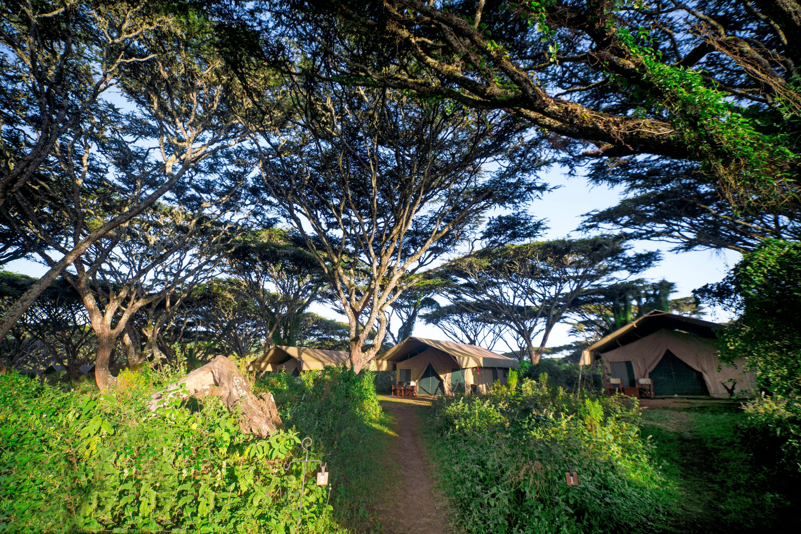 Ngorongoro Tented Camp